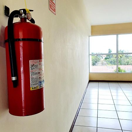Апартаменты San Benito Flats Wifi 50Mg - 4 Huespedes - Parqueos Сан-Сальвадор Экстерьер фото